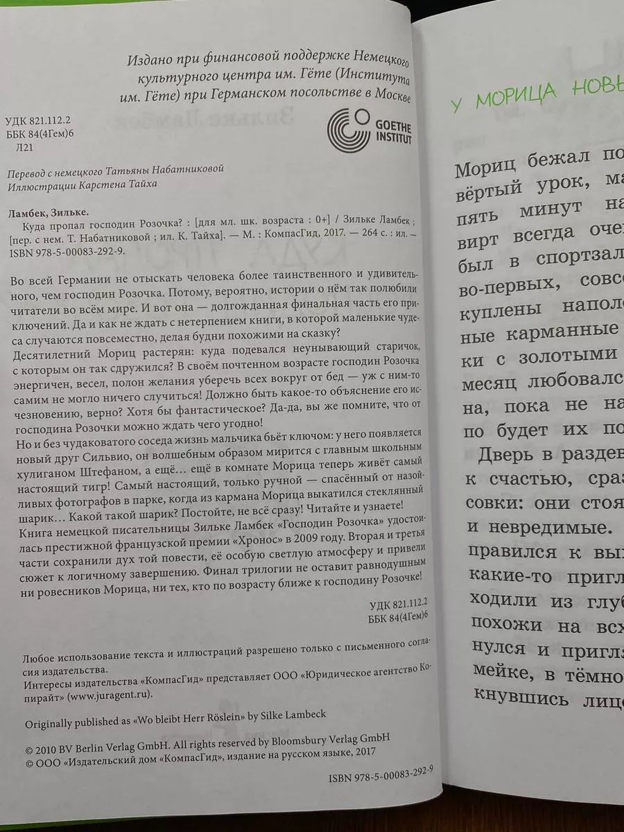 Куда пропал господин Розочка КомпасГид купить по цене 905 ₽ в  интернет-магазине Wildberries | 219015747