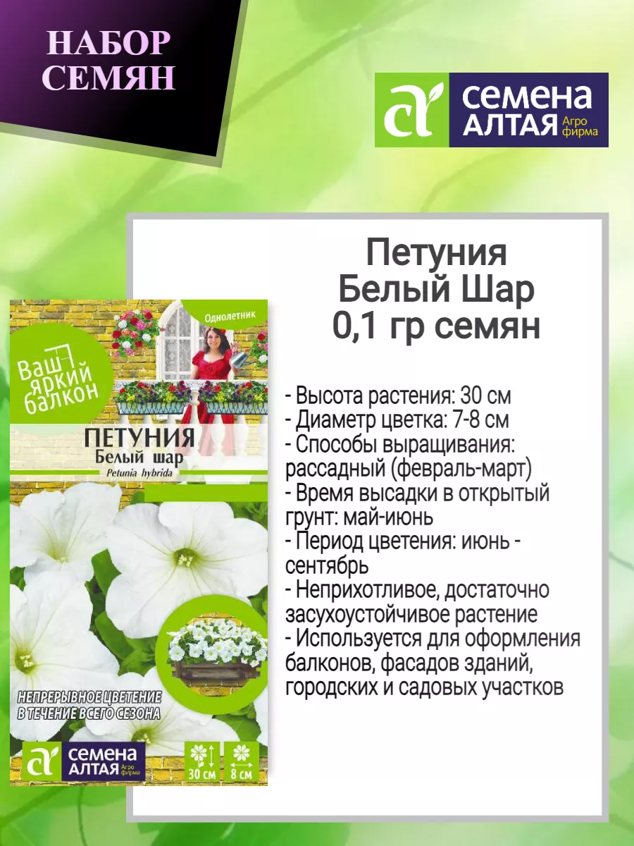 Петуния снежный шар многоцветковая. Высокорослая белая петуния. Петуния снежный шар. Петуния снежный шар дом семян. Петуния кассиопея.
