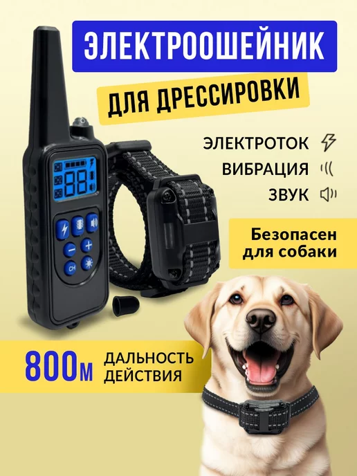 шокер