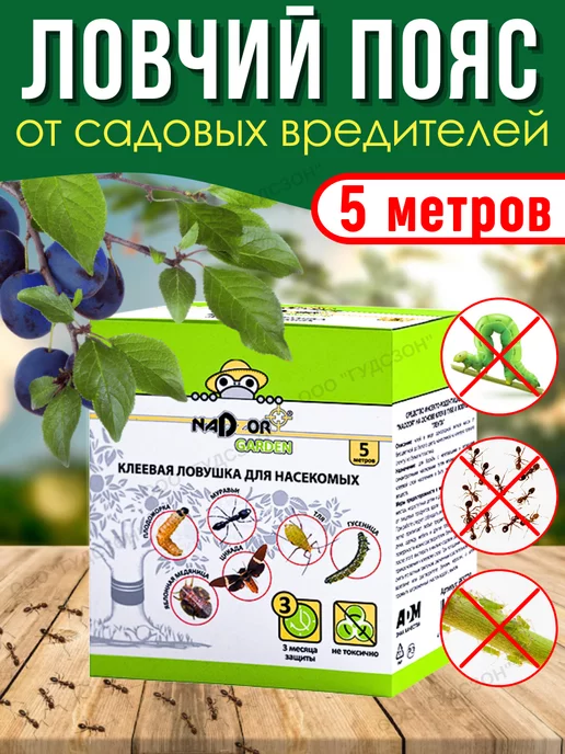 Wildberries — интернет-магазин модной одежды, обуви и аксессуаров
