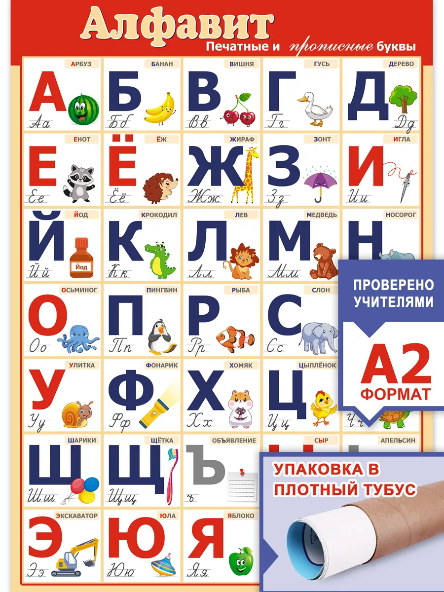 ЗАЙЧИКОВА Обучающий плакат алфавит русский язык на стену в школу детям