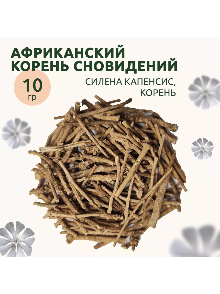 Африканский корень сновидений, Silene Capensis 10 гр Без бренда купить по  цене 2 002 ₽ в интернет-магазине Wildberries | 222594190