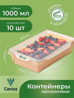 Одноразовые коробки для трайфлов, контейнеры для еды 1000 мл Cactus* 224868225 купить за 1 121 ₽ в интернет-магазине Wildberries