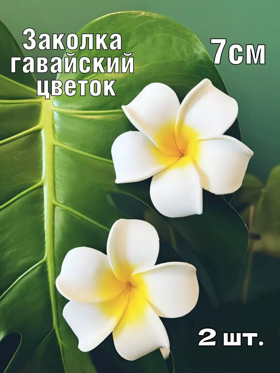 Идеи на тему «Гавайские цветы» (35) | гавайские цветы, рисунки, цветы