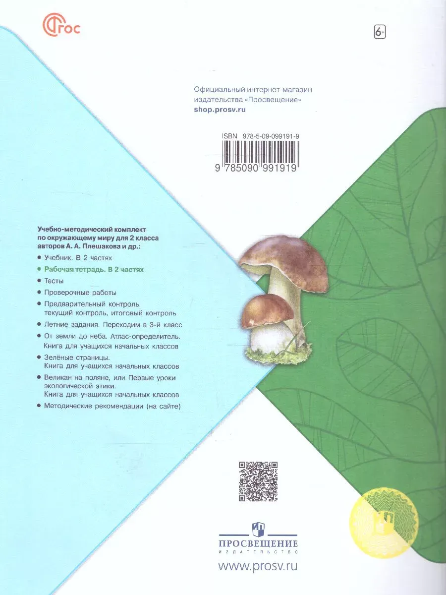 Окружающий мир 2 класс Рабочая тетрадь часть 2 Плешаков Просвещение купить  по цене 424 ₽ в интернет-магазине Wildberries | 227625756