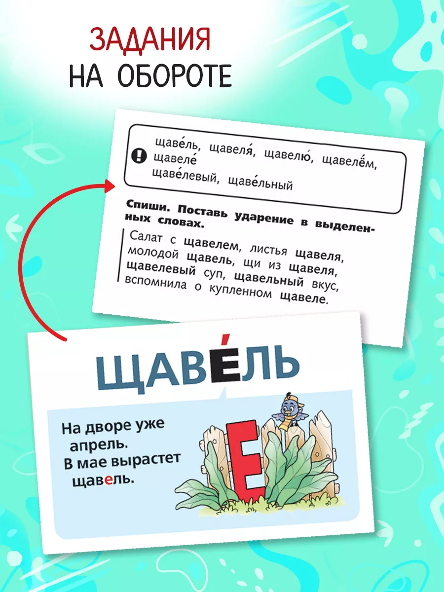 Ударения-Наглядные пособия-64 карточки-Говорим правильно Hatber купить по  цене 57 800 сум в интернет-магазине Wildberries в Узбекистане | 229449133