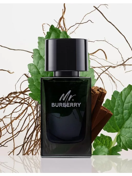 BURBERRY Mr. Eau de Parfum 100 мл