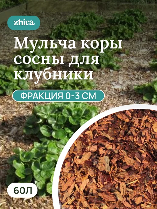 Мульчирование клубники корой: плюсы и минусы метода