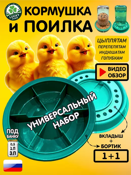 Кормушка для перепелов и суточных цыплят.