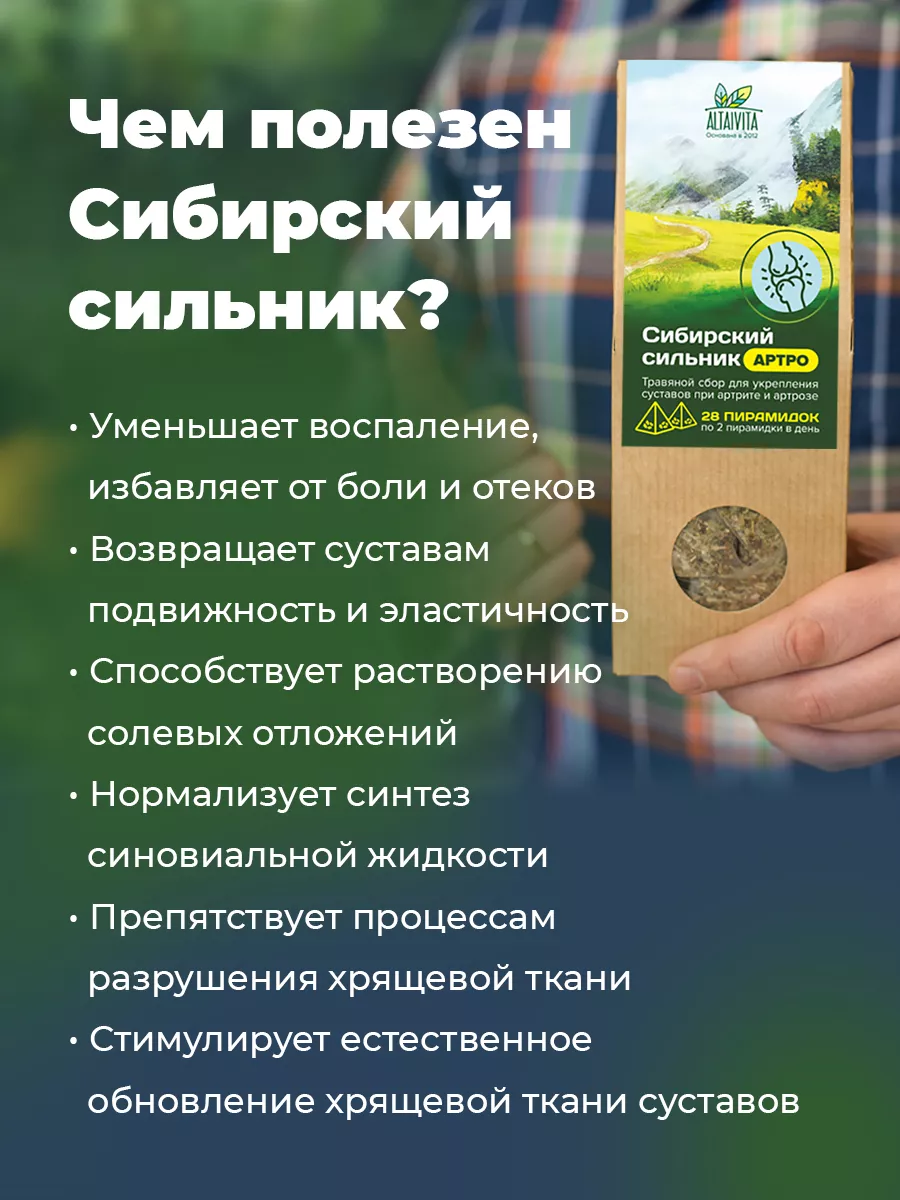 Сибирский сильник для суставов пирамидки 6 шт по 98 гр ALTAIVITA купить по  цене 4 029 ₽ в интернет-магазине Wildberries | 232971644