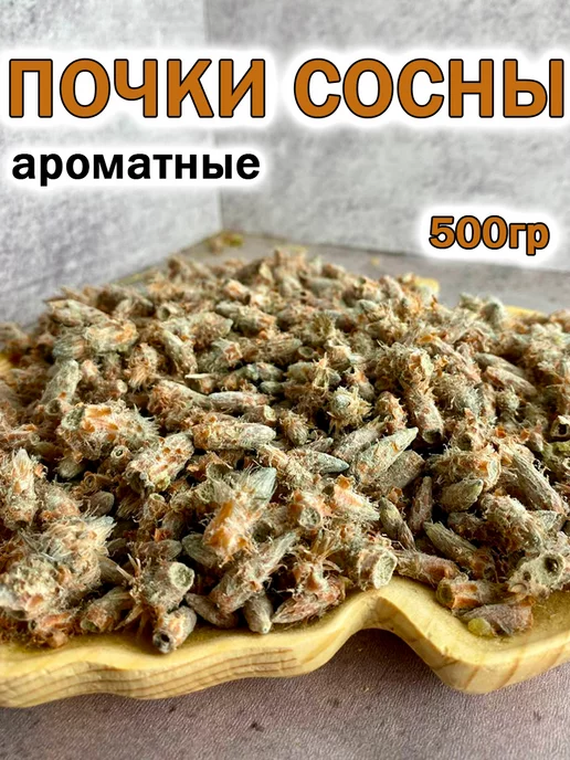 Сосна обыкновенная (почки)